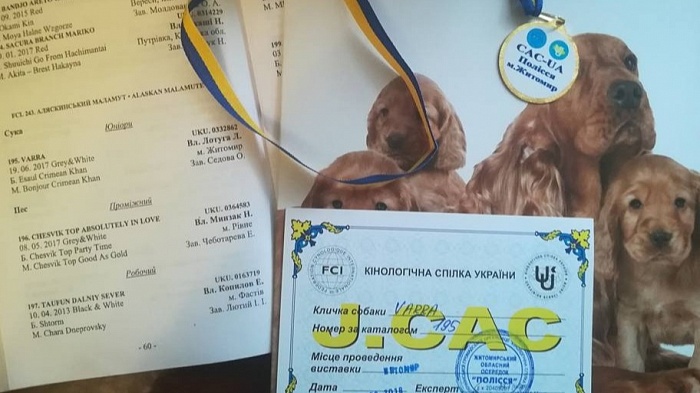 Выставка СОБАК CAC-UA Polesye-2018: фоторепортаж
