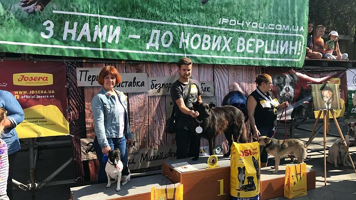 Настоящий ДРУГ породы не имеет