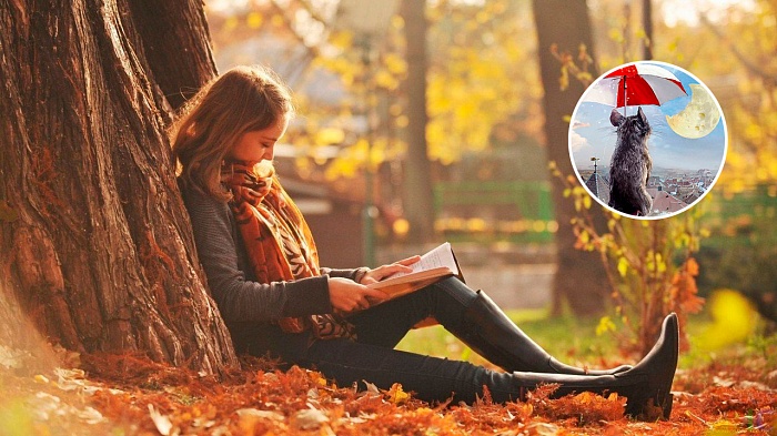 Какую книгу подарить девушке?