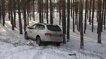 Автомобиль не удержался на дороге и упал в кювет: ФОТО