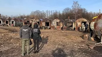 «Продали уголь на 14 миллионов гривен», — в Житомирской области разоблачили масштабную схему хищения леса (ФОТО)