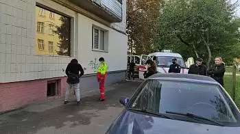«Застряла, и не могла выбраться самостоятельно», — в центре Житомира спасатели достали женщину из подвала (ФОТО)