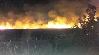 Ночной пожар под Житомиром — горел гектар сухой травы, пламя едва не уничтожило частный сектор в Станишовке (ФОТО)