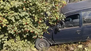 На выезде из Житомира под Тетеревкой Daewoo Nexia слетел в кювет и въехал в столб (ФОТО)