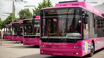 В Житомире проложат новые троллейбусные маршруты — на Малеванку и в Глубочицу (ФОТО)