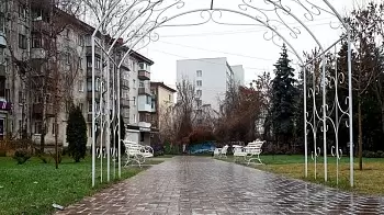 Транспортный коллапс в Житомире: "зеркало" дорог, коммунальный и частный транспорт НЕ ВЫШЕЛ на линию (ВИДЕО)