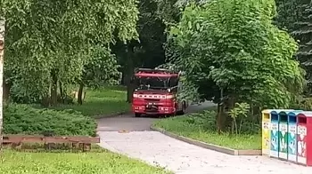 В Житомирском парке Гагарина горело сухое дерево (ФОТО)
