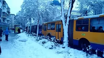 В Житомире остановились троллейбусы: ФОТО, ВИДЕО