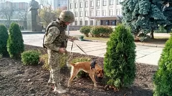 В Житомире «заложили взрывчатку» у помещения ОГА — на месте работает полиция (ФОТО) / ОБНОВЛЕНО