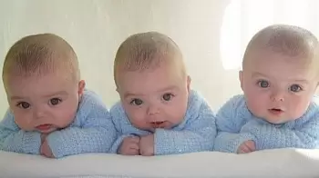 Первая в 2019-м году ТРОЙНЯ родилась в Житомире: ФОТО