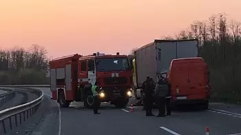 Лось спровоцировал смертельное ДТП на трассе Киев - Чоп (ФОТО)