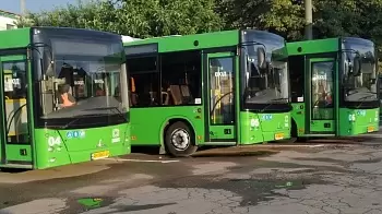 В Житомире отменяют маршруты №53 и 53А — что будет вместо них?