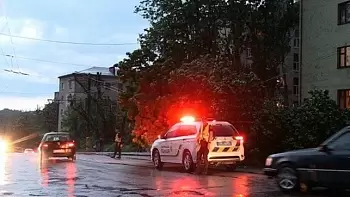 Поваленные деревья и затопленные улицы — в Житомире ликвидируют последствия урагана (ФОТО / ВИДЕО) 