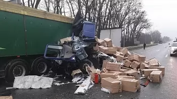 Подробности утреннего ДТП на трассе Житомир - Киев и выводы полиции (ФОТО)