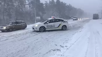 ДТП в Житомирской области: автомобиль въехал в дерево
