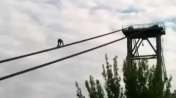В Житомире неизвестный экстремал пролез без страховки по подвесному мосту (ВИДЕО)