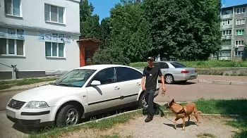 В подвале 5-этажки на Кибальчича, принадлежащем экс-бойцу «Айдара», полиция обнаружила боеприпасы (ФОТО / ВИДЕО)