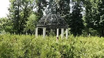 В Житомире откроют первый в области «Зелёный лабиринт» — где, когда и за сколько? (ФОТО / ВИДЕО с высоты)