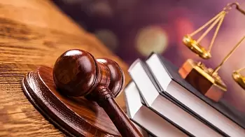 Незаконный захват леса предприятием "Аскона - Південь": СУД