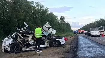 Смертельное ДТП на трассе Киев - Житомир — Tesla влетел в автоцистерну, погибла пассажир легковушки (ФОТО / ВИДЕО) 18+